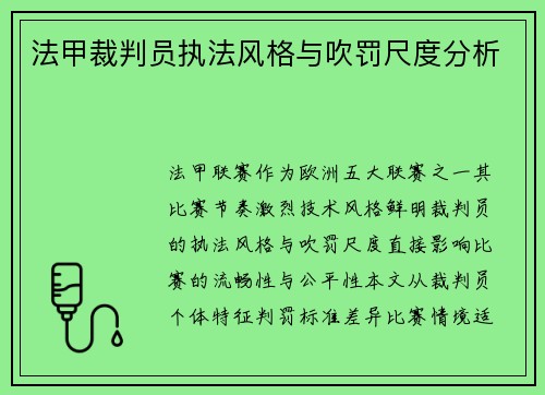 法甲裁判员执法风格与吹罚尺度分析